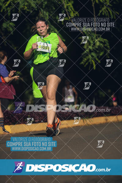 Vale Verde Run 2024