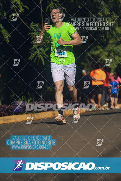 Vale Verde Run 2024