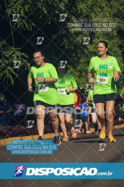 Vale Verde Run 2024