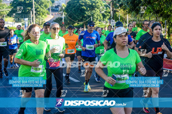 Vale Verde Run 2024