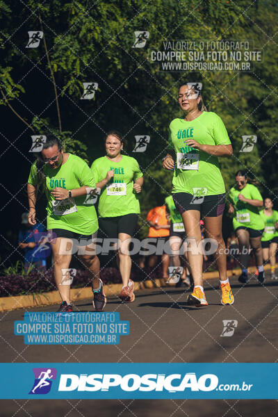 Vale Verde Run 2024