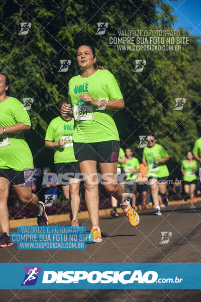 Vale Verde Run 2024