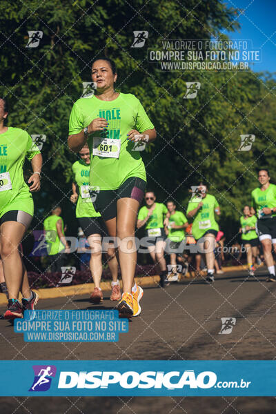 Vale Verde Run 2024