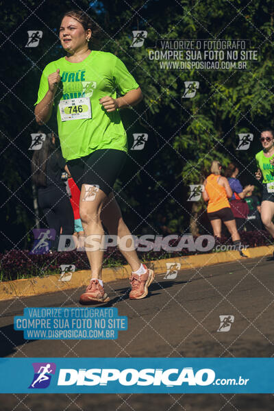 Vale Verde Run 2024