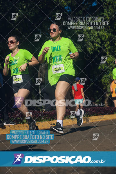 Vale Verde Run 2024