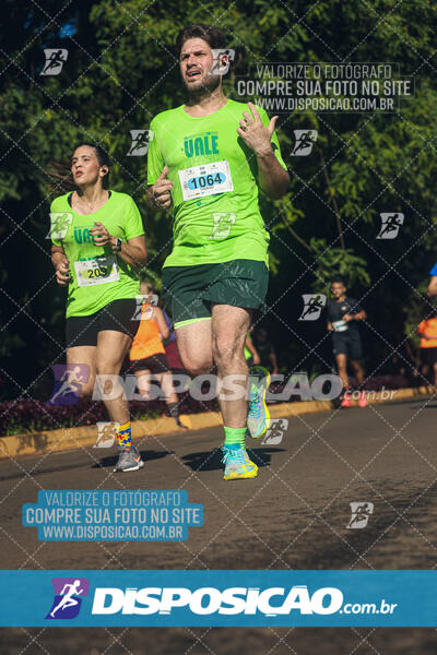 Vale Verde Run 2024