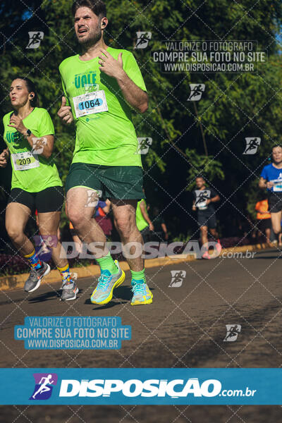 Vale Verde Run 2024