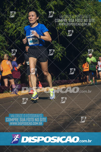 Vale Verde Run 2024