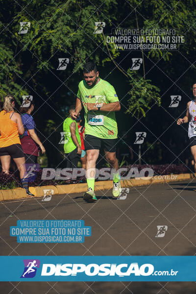 Vale Verde Run 2024