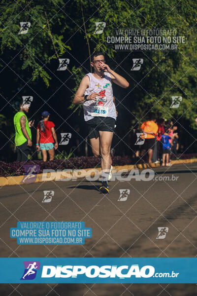 Vale Verde Run 2024