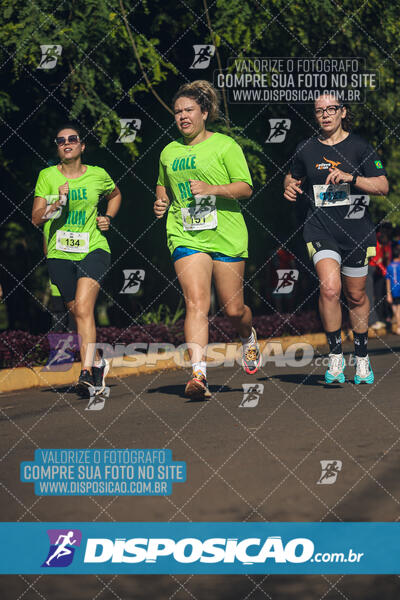 Vale Verde Run 2024