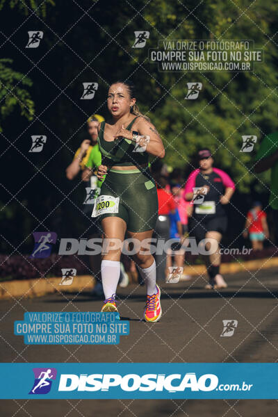 Vale Verde Run 2024