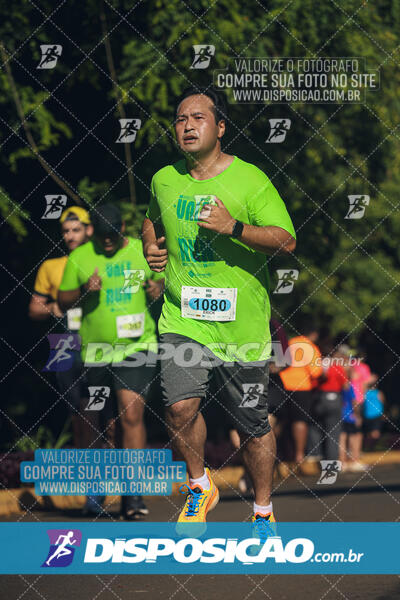 Vale Verde Run 2024