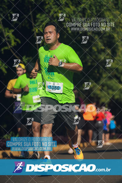 Vale Verde Run 2024