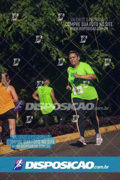 Vale Verde Run 2024