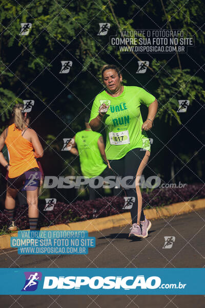 Vale Verde Run 2024