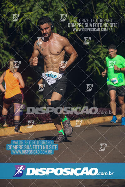 Vale Verde Run 2024