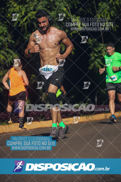 Vale Verde Run 2024