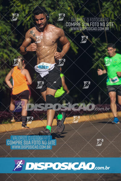 Vale Verde Run 2024