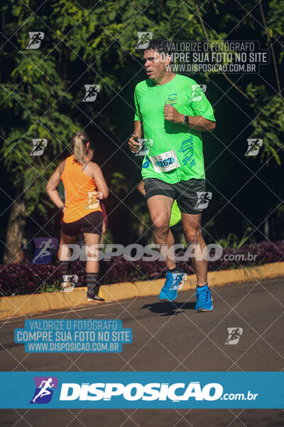 Vale Verde Run 2024