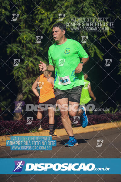 Vale Verde Run 2024