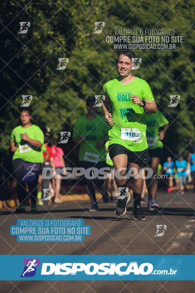 Vale Verde Run 2024