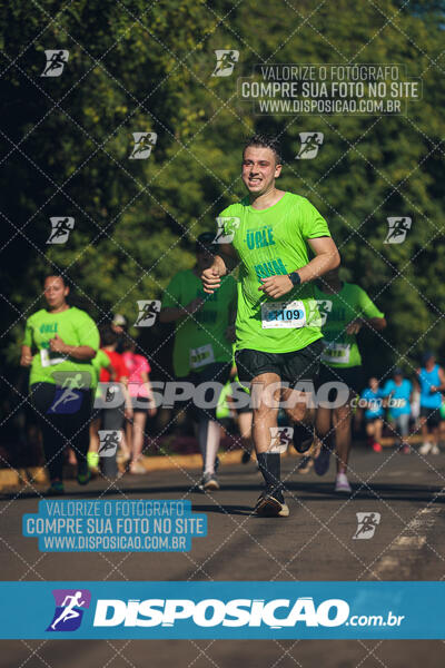 Vale Verde Run 2024