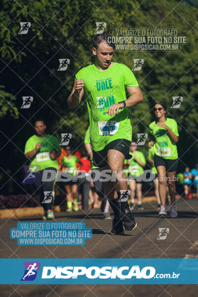 Vale Verde Run 2024