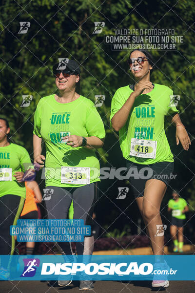 Vale Verde Run 2024