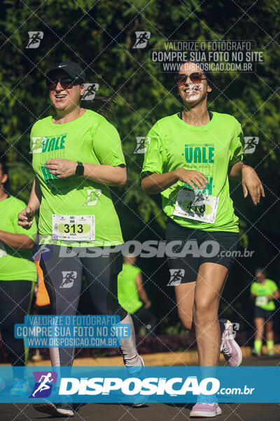 Vale Verde Run 2024