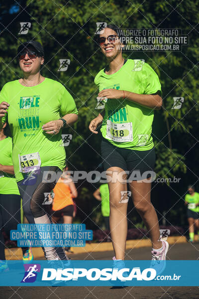 Vale Verde Run 2024