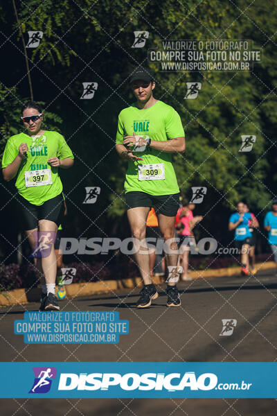 Vale Verde Run 2024