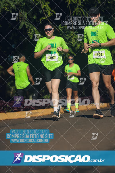 Vale Verde Run 2024