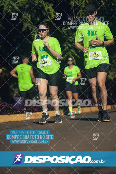 Vale Verde Run 2024