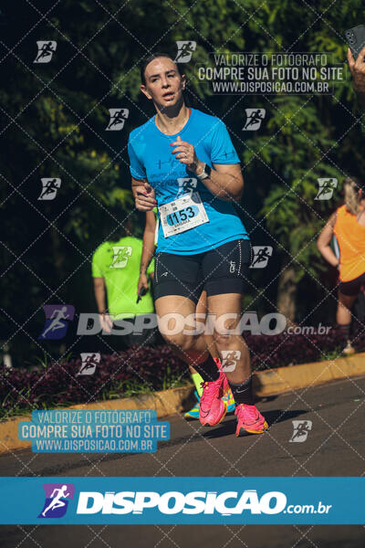 Vale Verde Run 2024