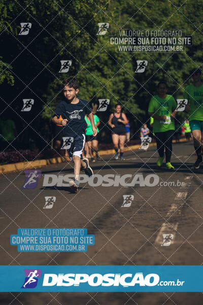 Vale Verde Run 2024