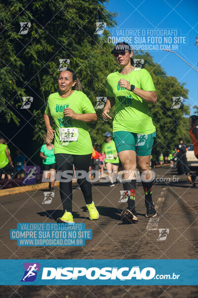 Vale Verde Run 2024