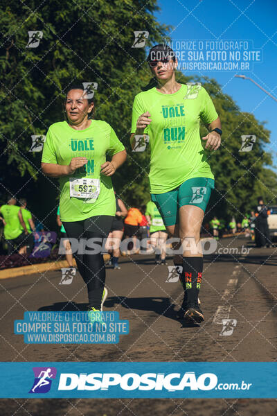 Vale Verde Run 2024