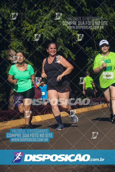 Vale Verde Run 2024