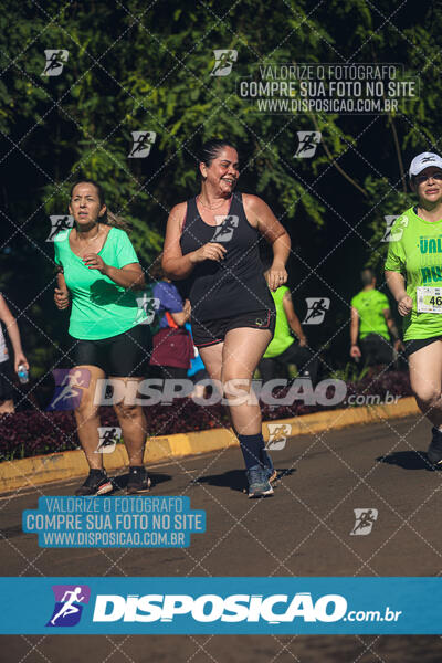 Vale Verde Run 2024