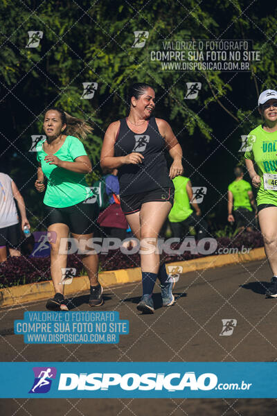 Vale Verde Run 2024