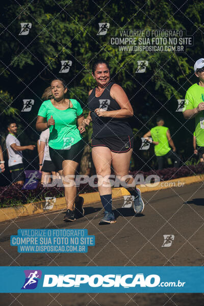 Vale Verde Run 2024