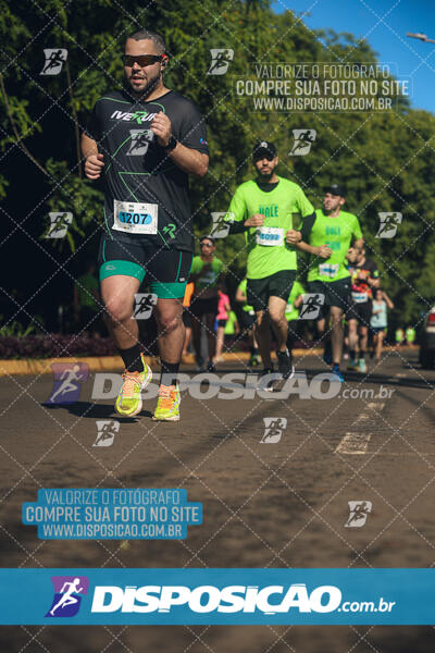 Vale Verde Run 2024