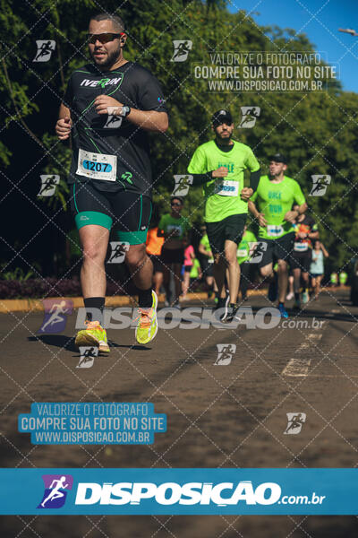 Vale Verde Run 2024