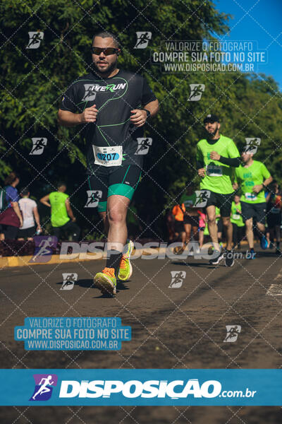 Vale Verde Run 2024