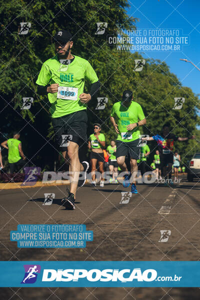 Vale Verde Run 2024