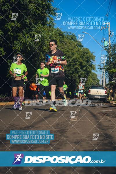 Vale Verde Run 2024