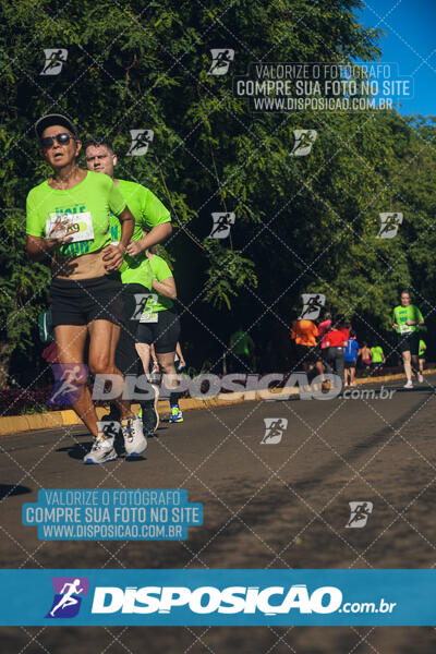 Vale Verde Run 2024