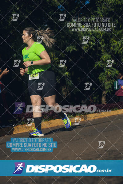 Vale Verde Run 2024