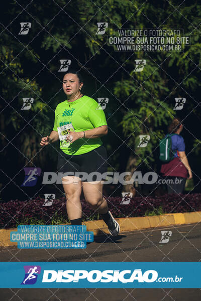 Vale Verde Run 2024